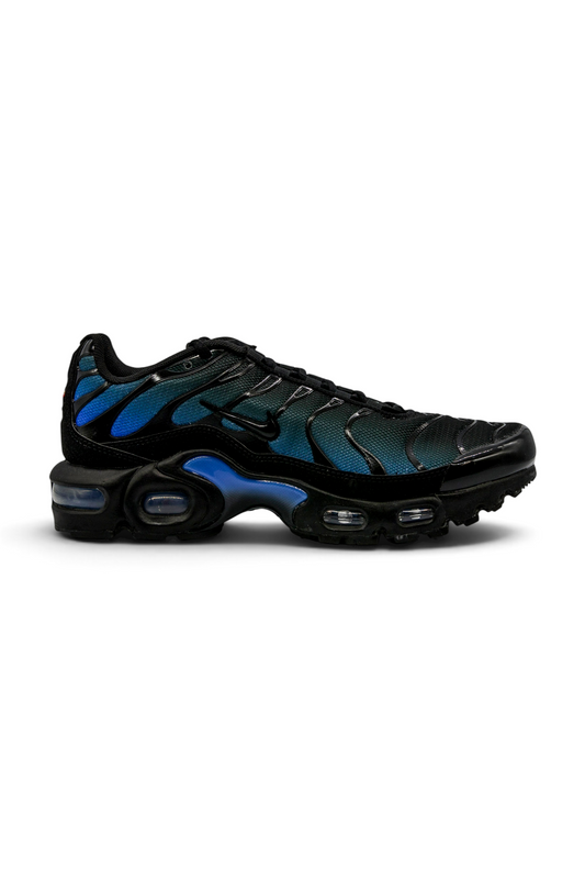 Nike Air Max Plus Black/Blue (GS) (CD0609-051)